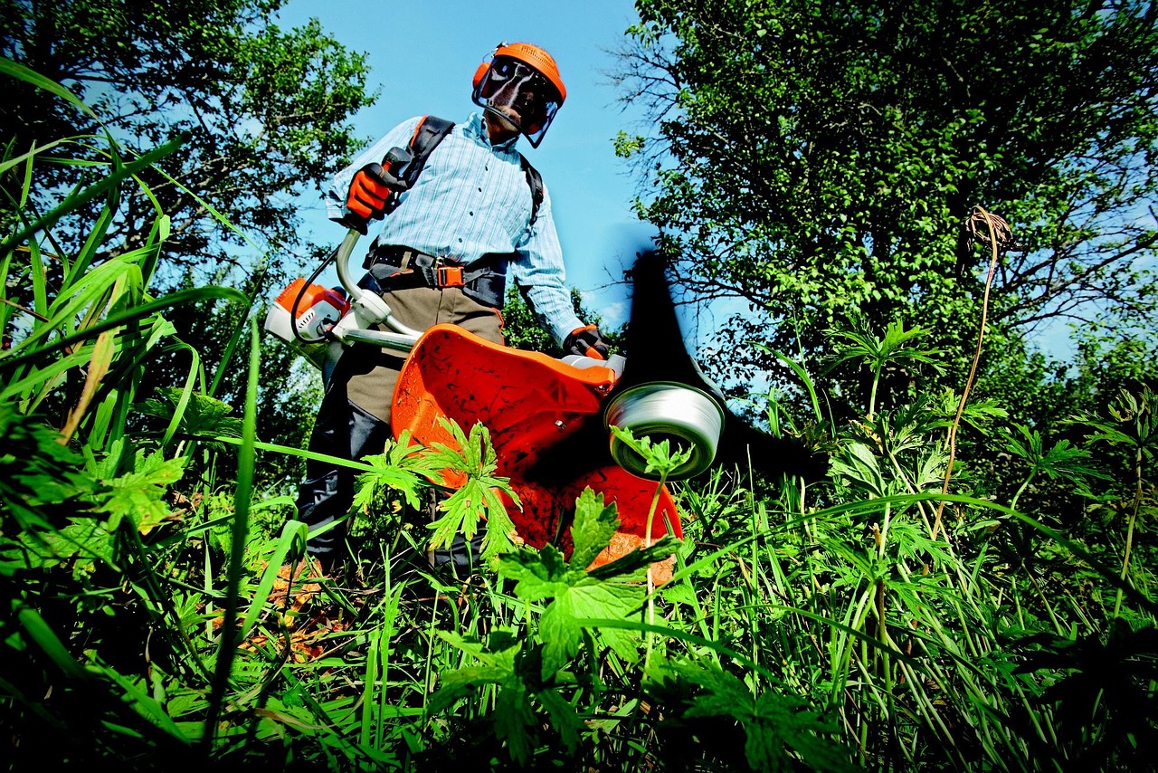 garden, grass cutter, gardening, nature, grass, man, outdoors, person, tools, gardener, green grass