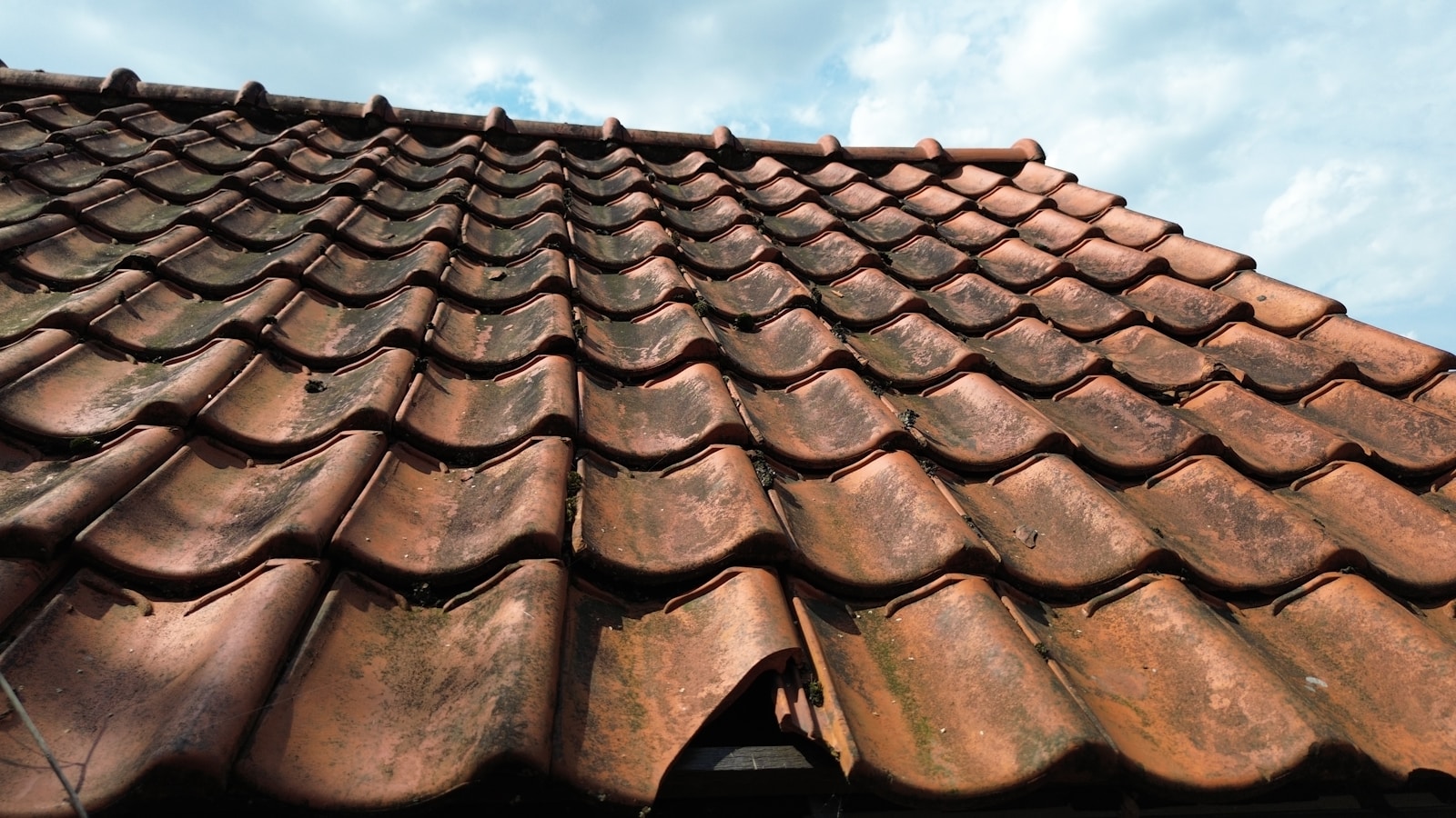 Zekerheid boven je hoofd: voorkom grote schade aan je dak