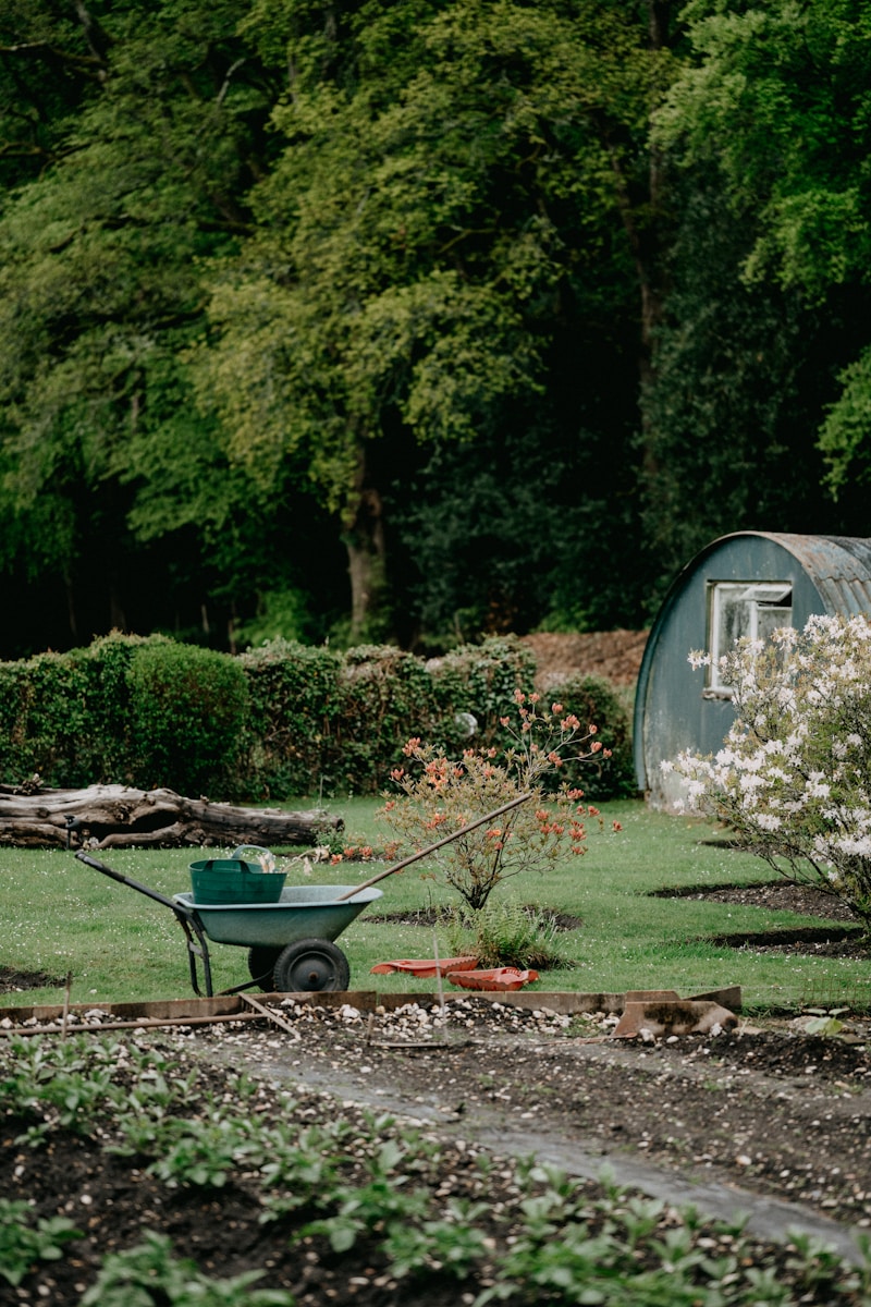 Een groenere tuin creeren