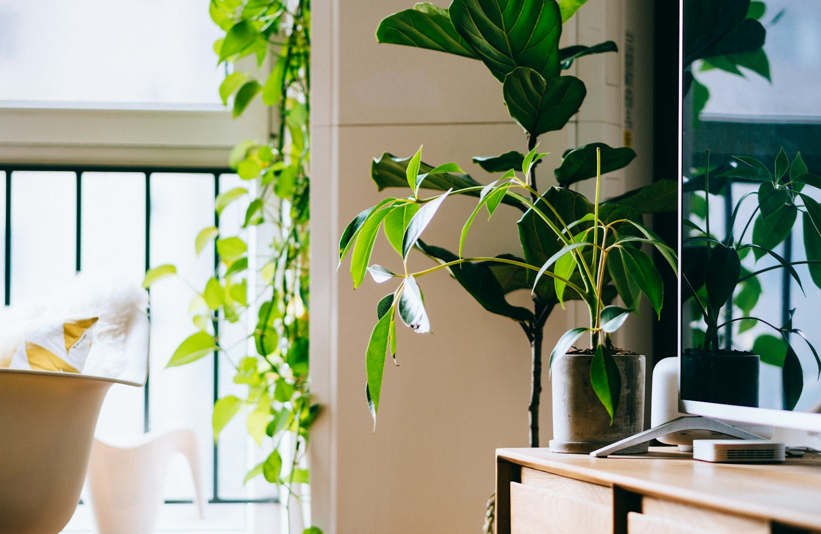 Groen in je leefomgeving